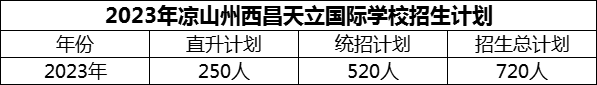 2024年涼山州西昌天立國際學校招生計劃是多少？