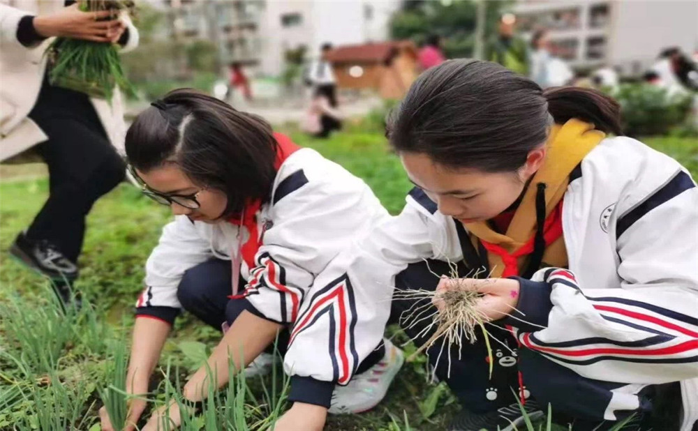 成都樹德中學(xué)光華校區(qū)招生計劃是多少