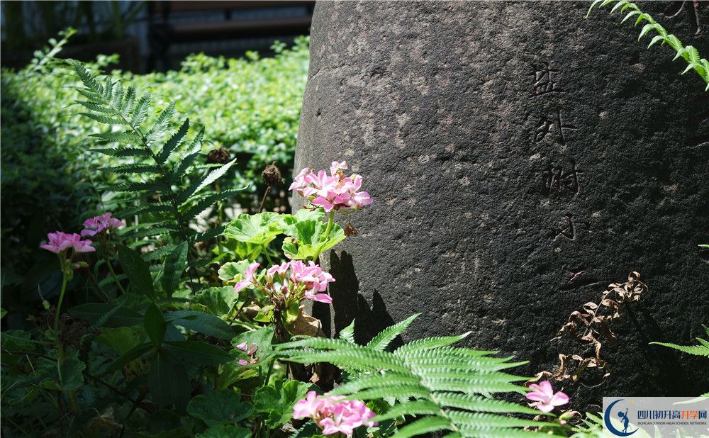 石室聯(lián)合中學(xué)蜀華分校住宿費用是多少？